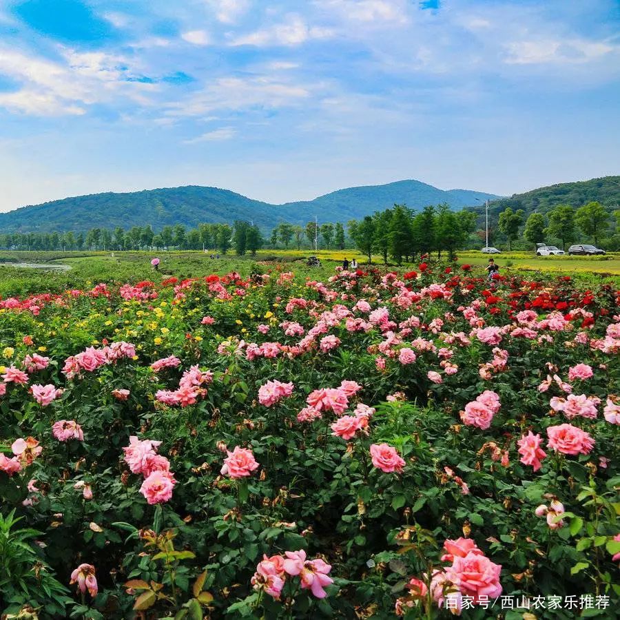 苏州西山免费打卡,苏州东山风景区网红打卡