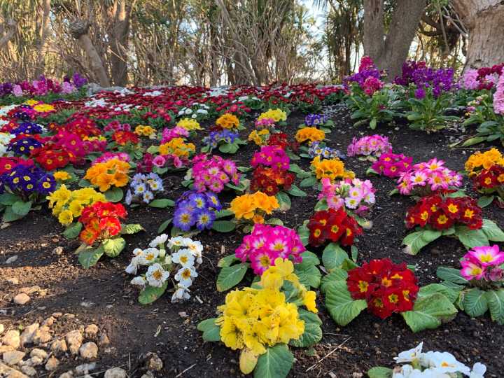 镰仓江之岛自驾游攻略,江之岛镰仓一日游最佳攻略