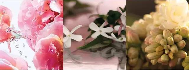 Gucci5款最受欢迎的香水，你买过其中哪一款？