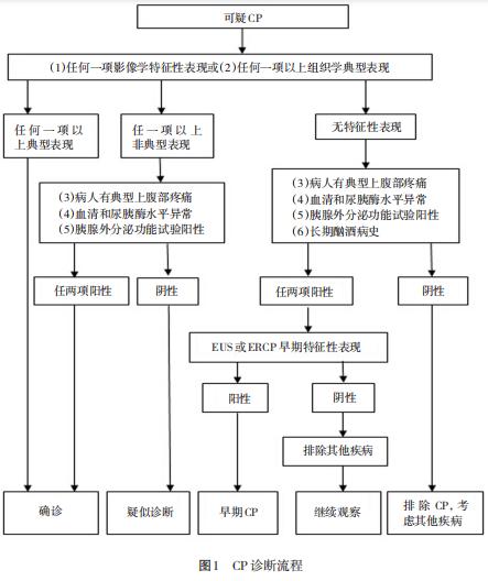 什么是胰腺炎重型胰腺炎怎么治疗,与胰腺炎鉴别诊断的疾病