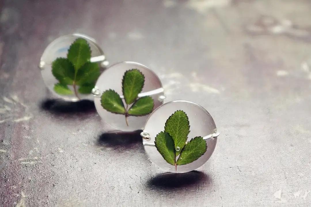 当枪声响起的那一刻没有赢家,枪声响起的时候谁都不是赢家