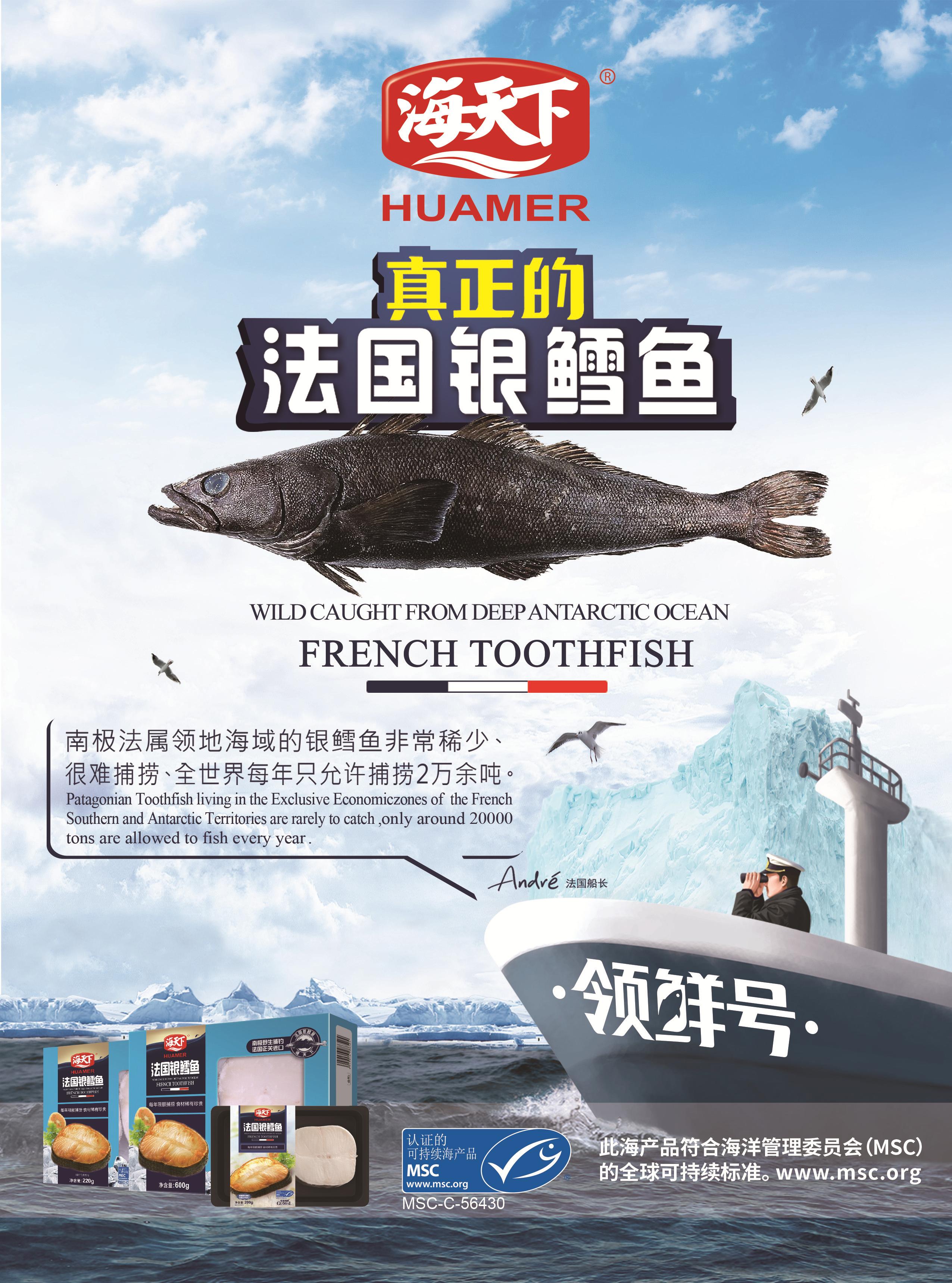 海天下冷冻食品业务,海天下冷鲜水产