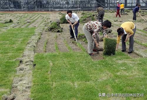 草坪养护多少钱一平,混播草坪的养护方法