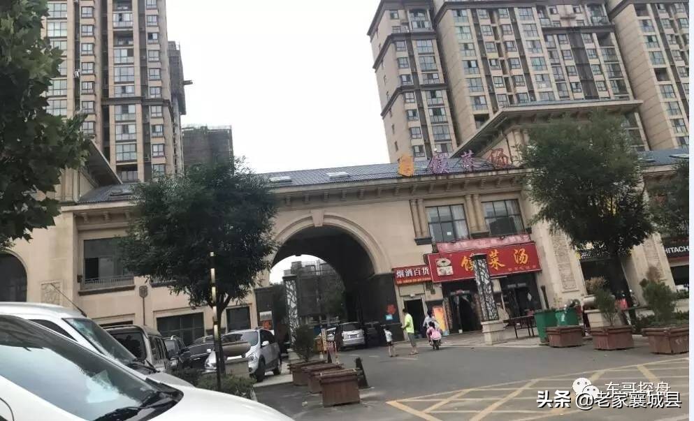 南龙湖高校,郑州市南龙湖宜居教育园