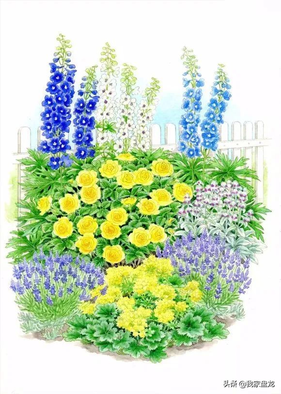 这种乱七八糟滴栽花方式,到底是不是园丁出了问题?
