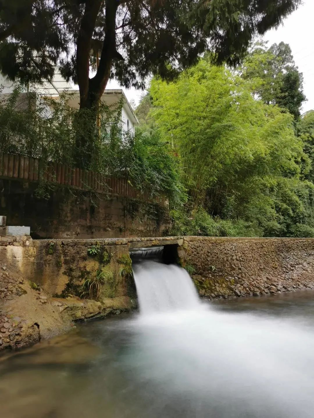 乌当区贵阳志愿者,旅游民宿志愿者招募