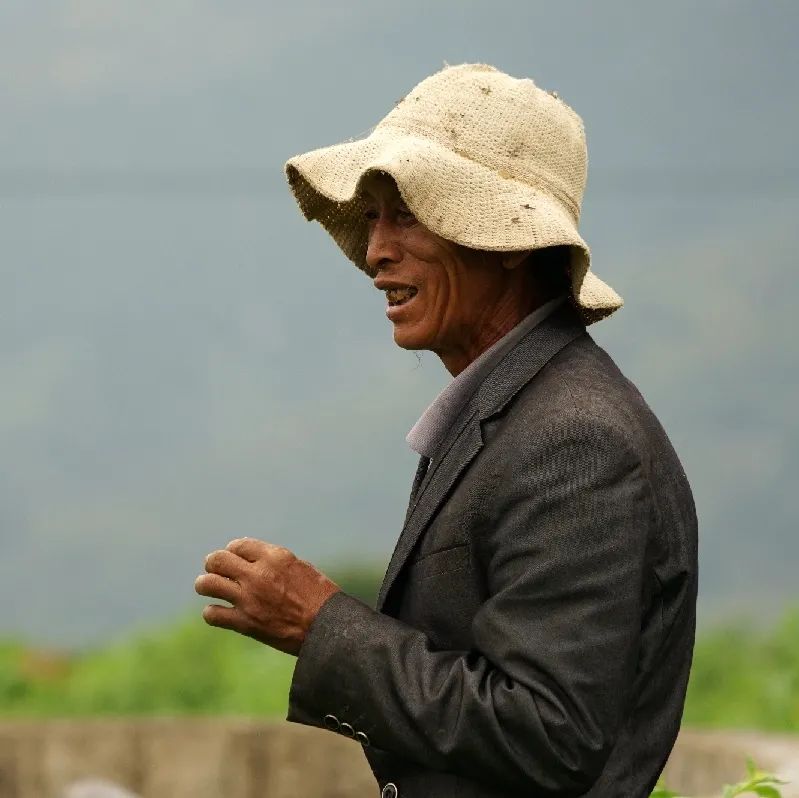 大理特色农业小镇,大理乡村发展现状和发展趋势