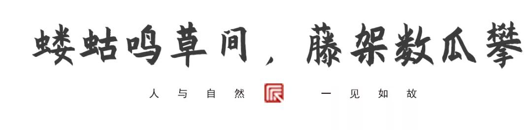 草树青翠虫鸣起，一枕清凉入梦来