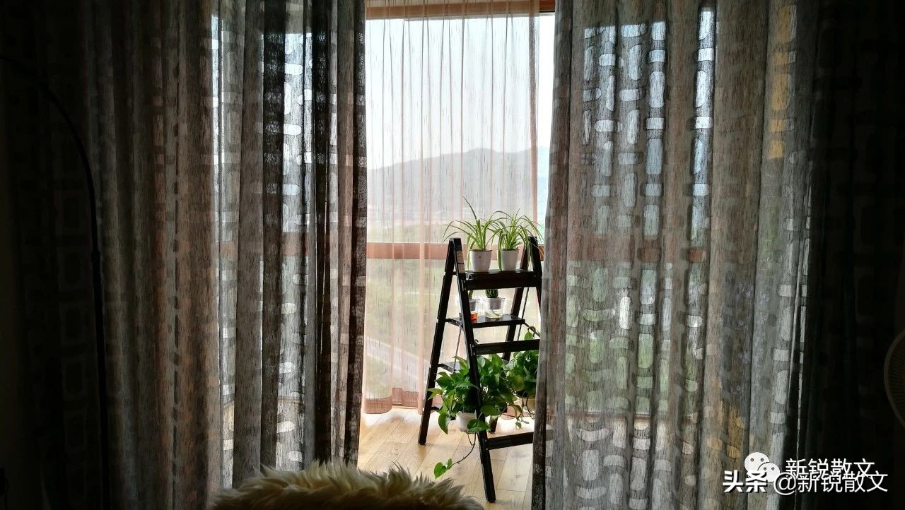 几十平的小生意,几十平米小房子