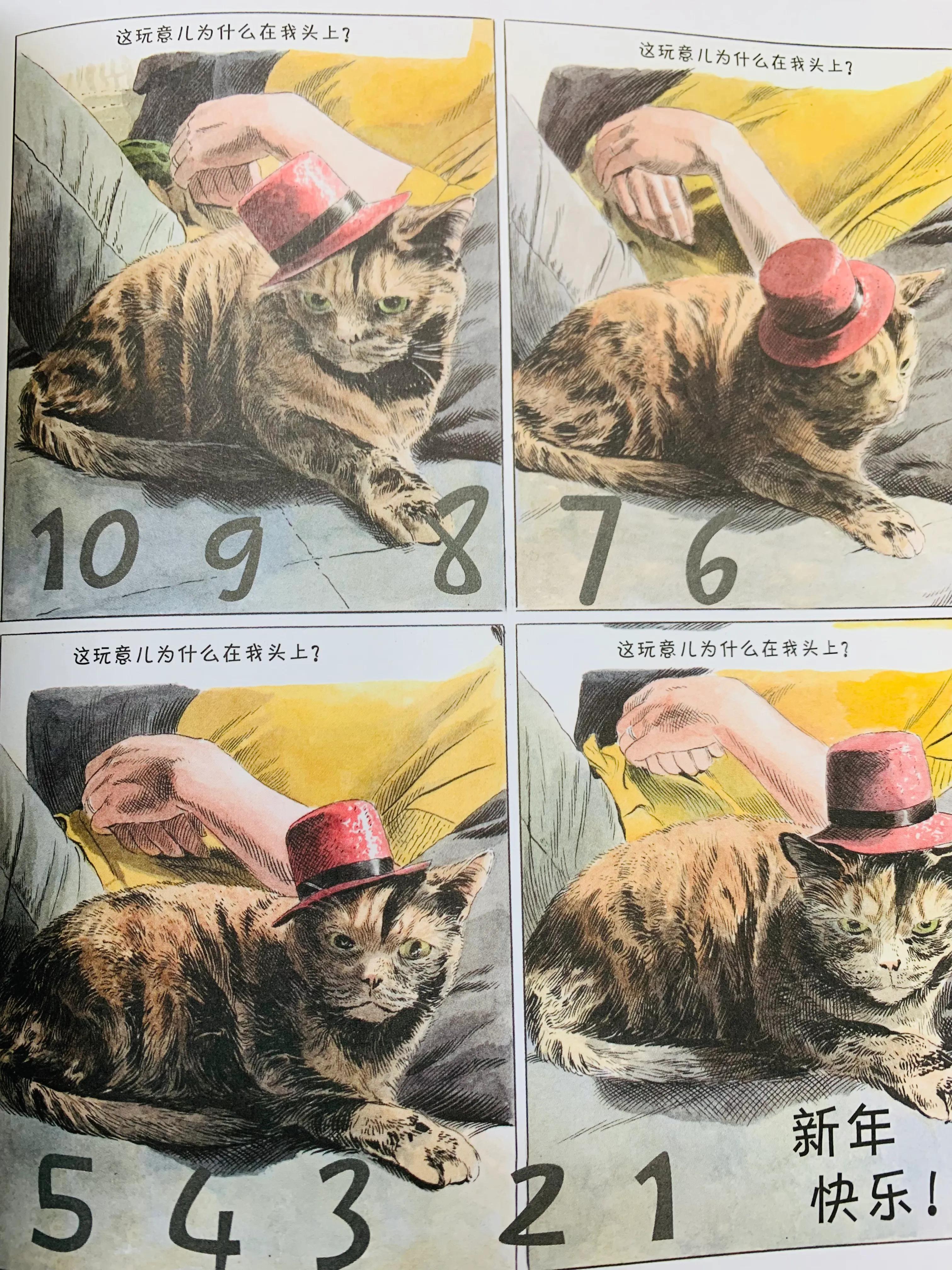 一个关于猫的搞笑漫画,猫咪治愈可爱漫画