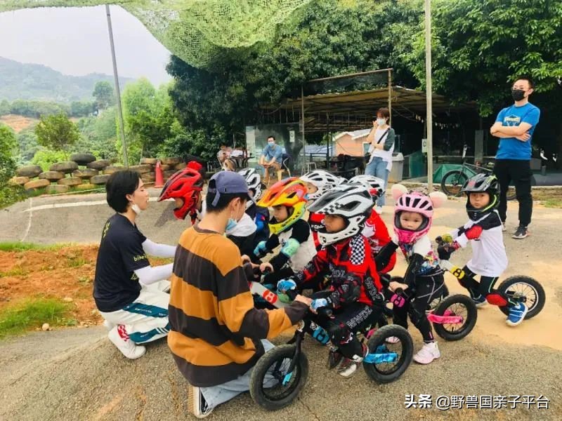 东莞儿童篮球培训机构哪个好,东莞儿童健身球哪家好