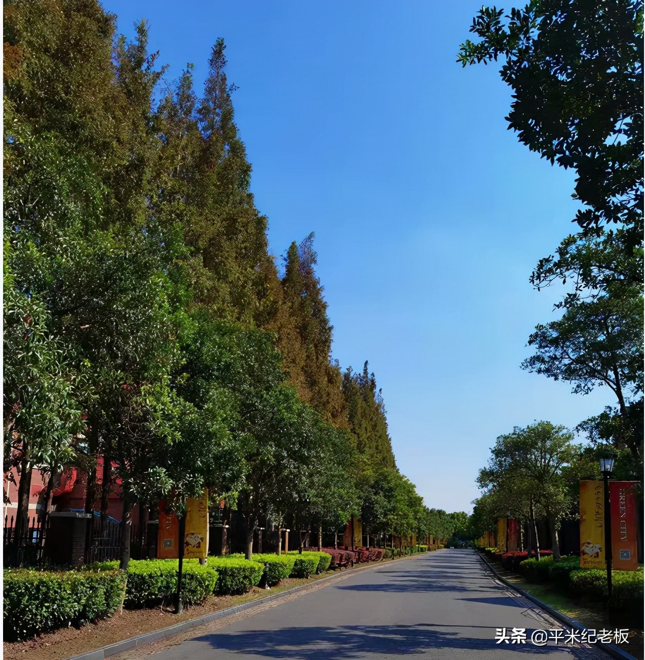 建平西校和上实对比,上实东和建平西哪个好