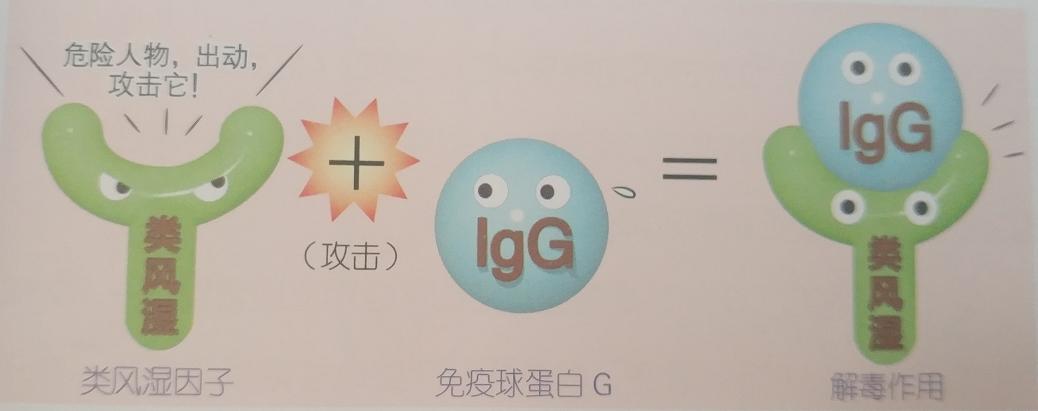 类风湿有特效药可根治？不能治愈干脆不治？类风湿治疗十大误区