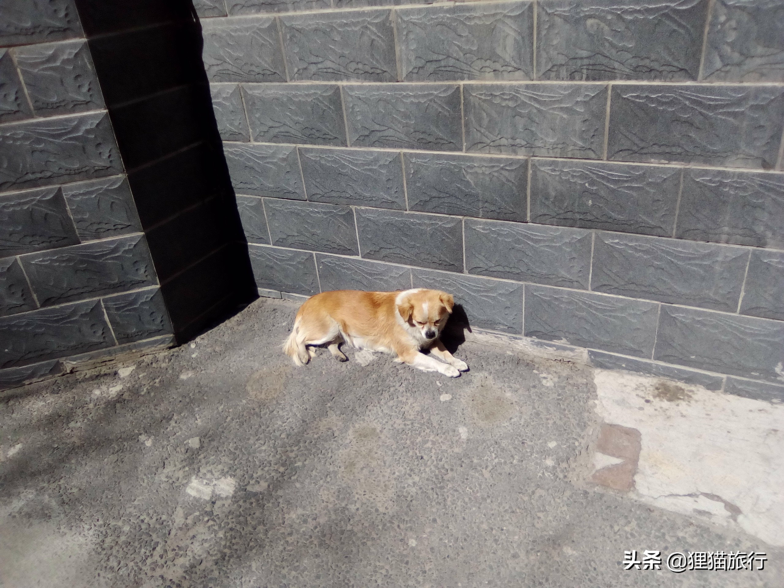 想来新疆旅游自由行,想来新疆的小伙伴