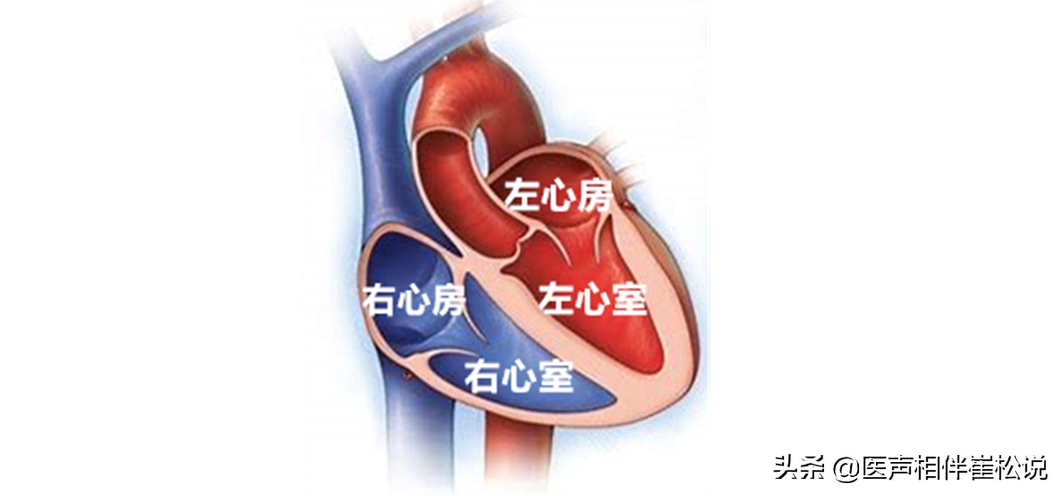 脚肿？腿肿？脸肿？眼泡肿？这些水肿要注意了