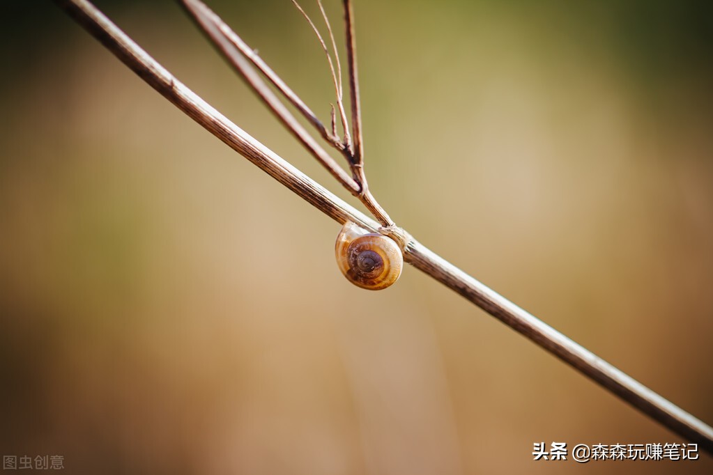 上班族宝妈如何搞副业赚钱,宝妈赚钱的副业排行榜前十名