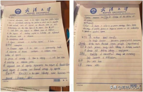 武汉大学文学系学霸,武汉大学满分学霸