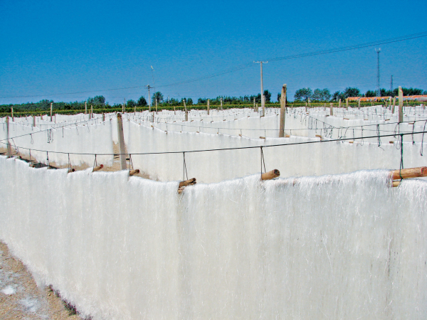 龙口龙须粉丝有限公司,龙口粉丝正宗品牌是哪个牌子