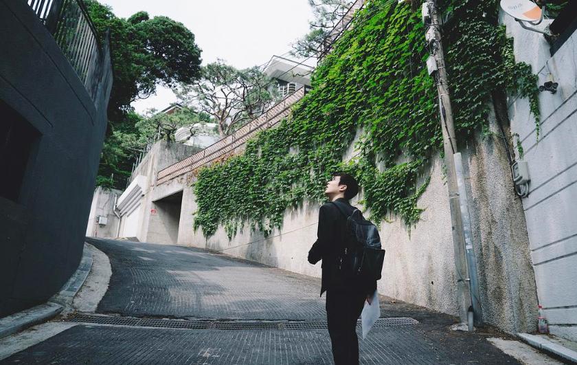 寄生虫故事梗概,寄生虫讲的是什么社会现象