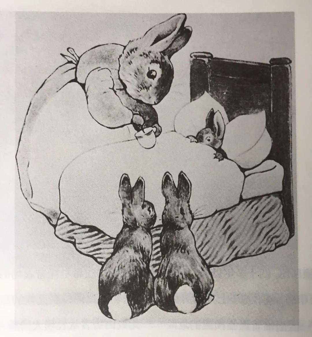 《永远的波特——彼得兔的妈妈》：揭晓彼得兔经久不衰的魅力所在