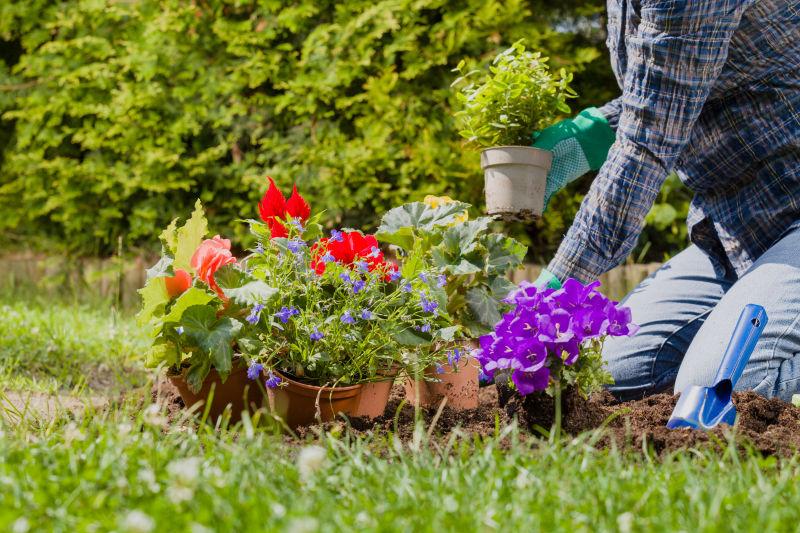 青云计划宠物写作技巧,青云计划游戏获奖文章
