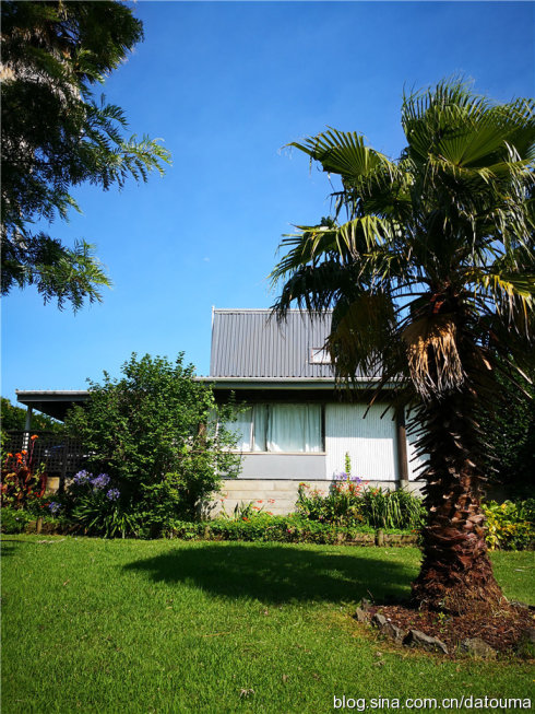 在新西兰你活得多自在,新西兰成功治好了我的焦虑