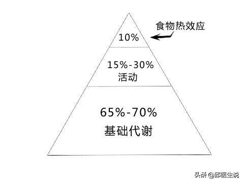 10大减肥理念!不但教你健康瘦身,还教你养成易瘦体质
