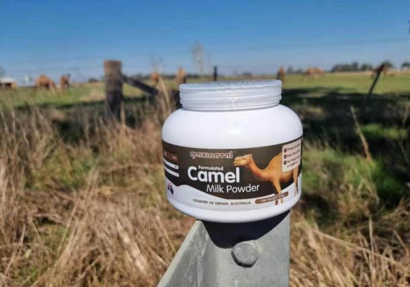 Maxinatal|来自澳洲北领地的营养配方驼奶粉