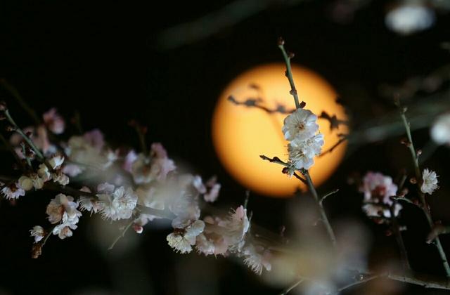 那些用激素治疗的非典病人，现在都怎么样了？