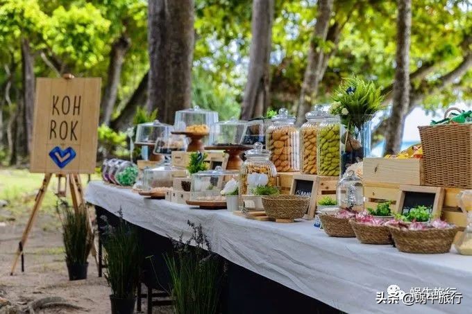 巨蜥像退休大爷休闲漫步；满海的活珊瑚、海葵…国家公园开岛啦