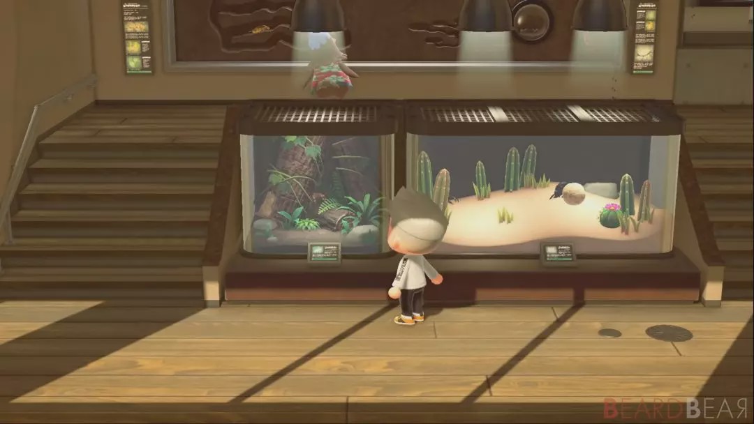 动森为何火爆,动森现在还有人玩吗