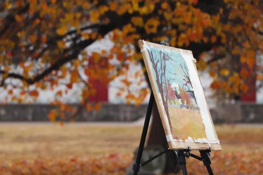 “你在看什么?”“兰大的烟火气”