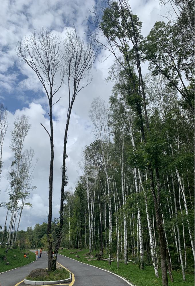 摄影欣赏大自然美景,长白山旅游之旅