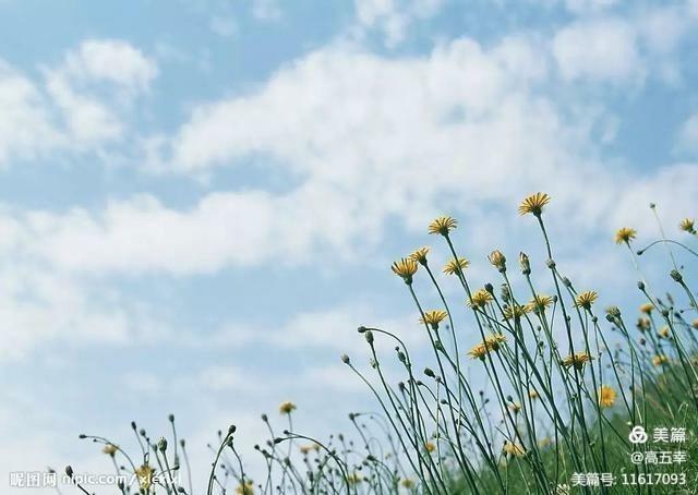 <html>
<head><title>502BadGateway</title></head>
<body>
<center><h1>502BadGateway</h1></center>
<hr><center>nginx</center>
</body>
</html>
<!--apaddingtodisableMSIEandChromefriendlyerrorpage-->
<!--apaddingtodisableMSIEandChromefriendlyerrorpage-->
<!--apaddingtodisableMSIEandChromefriendlyerrorpage-->
<!--apaddingtodisableMSIEandChromefriendlyerrorpage-->
<!--apaddingtodisableMSIEandChromefriendlyerrorpage-->
<!--apaddingtodisableMSIEandChromefriendlyerrorpage-->
