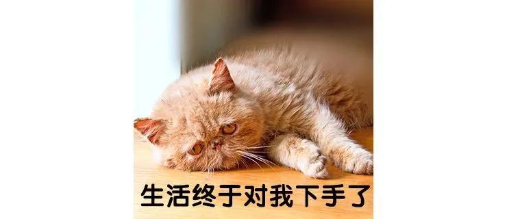 哺乳期大小奶怎么按摩,哺乳期大小奶应该吃哪一面