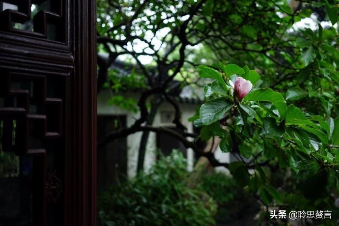 描写病的诗句古诗,关于病的诗句短诗