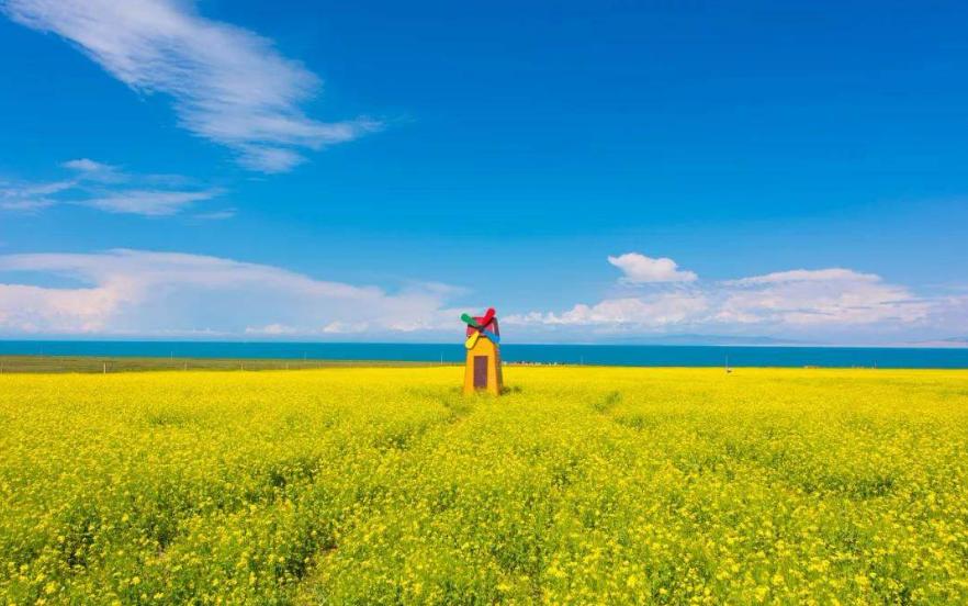 去青海湖玩会有高原反应吗,去青海湖有高原反应吗海拔多少米