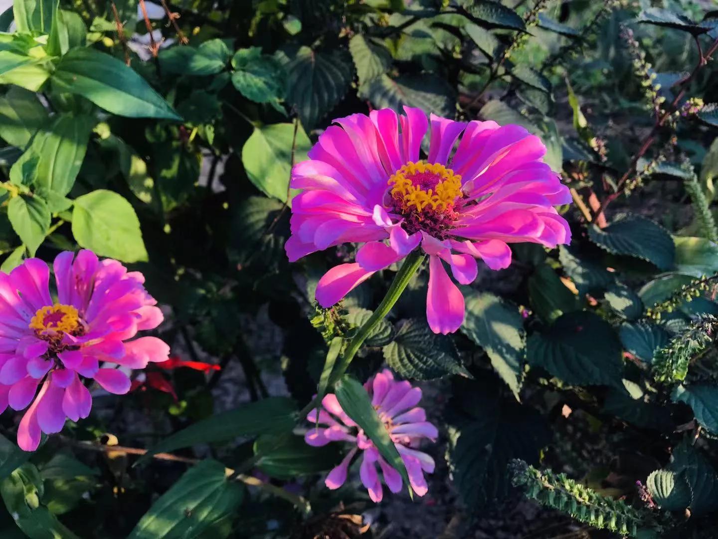 生命的缘分上海视频,生命中的遇见是缘分