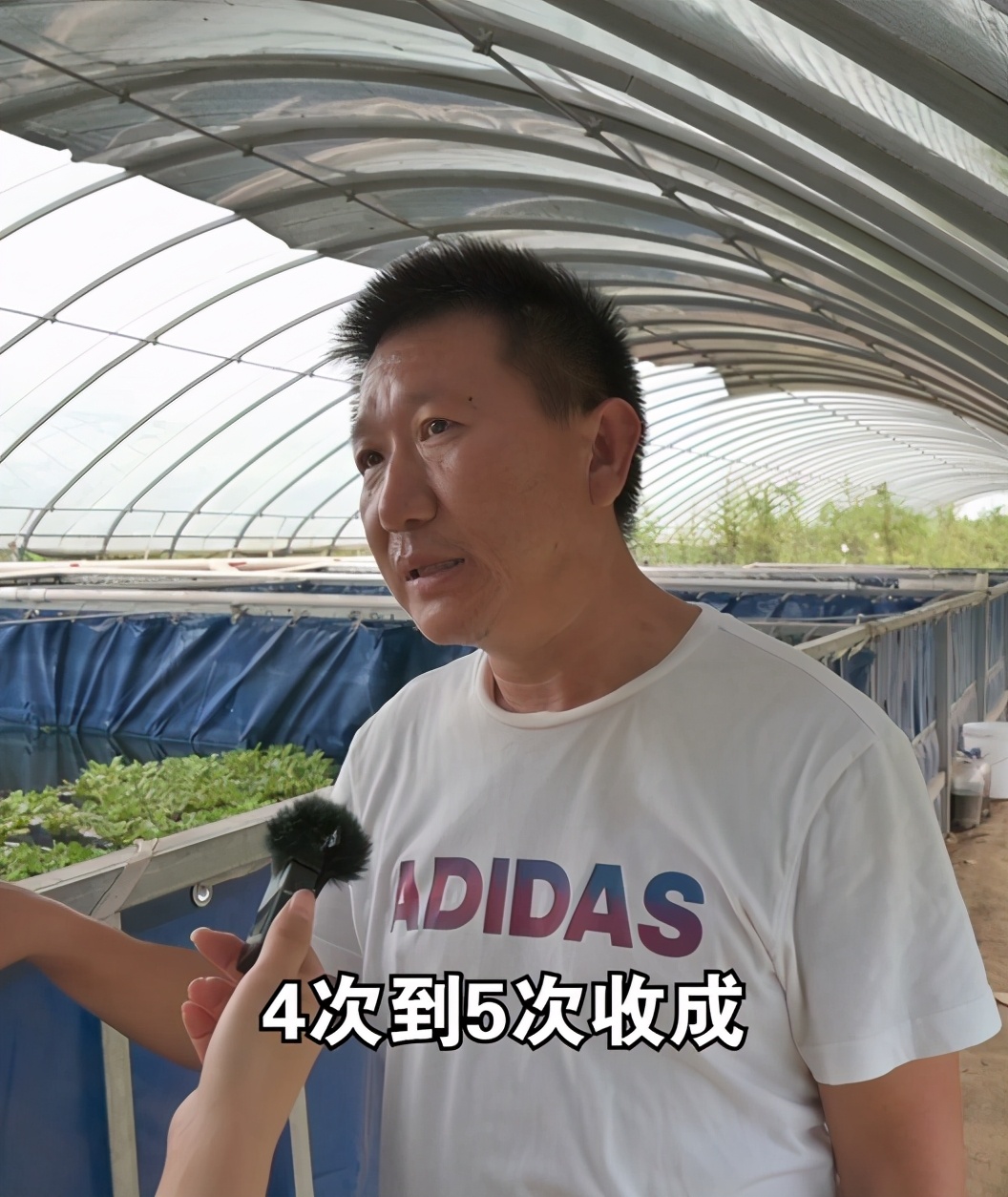 泥鳅养殖怎么收益高,泥鳅养殖前景到底如何