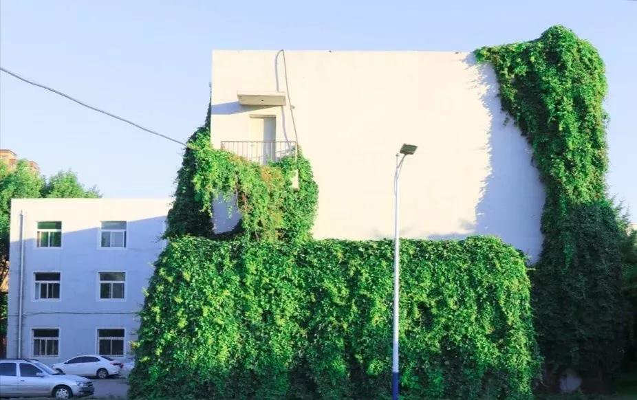 辽宁省内大学排名沈阳医学院,辽宁省沈阳医学院前景