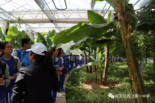 交大附中雁塔校区初中部招多少人,交大附中高中部招多少孩子