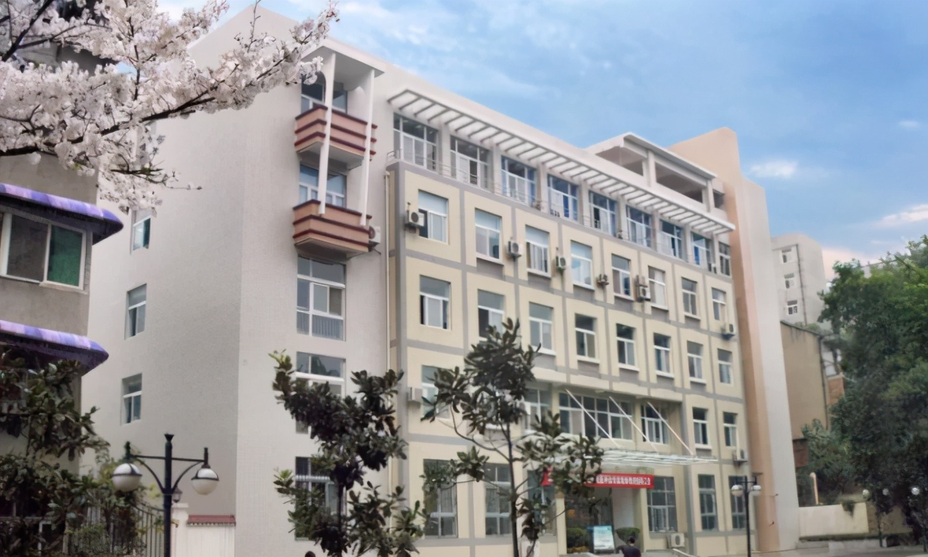 武汉理工大学最强专业有哪些,武汉理工大学哪几个专业排名高