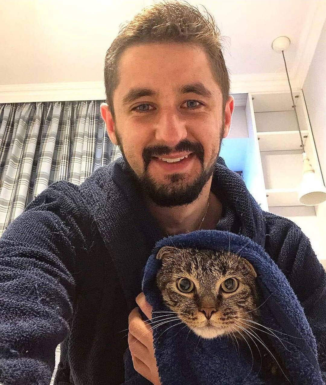 猫咪因太胖被强制减肥,猫咪太胖被强制减肥