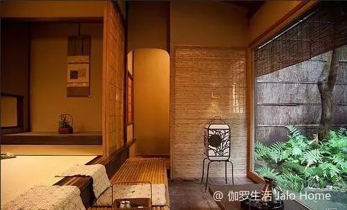榻榻米的真实感受,年轻人对你一无所知