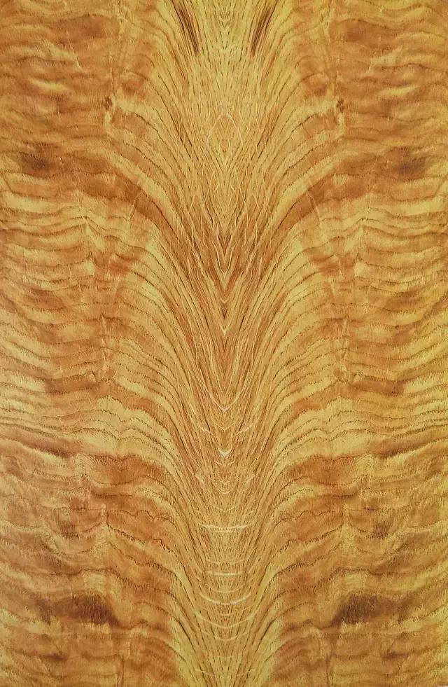 最美木皮,轻奢极简天然木皮