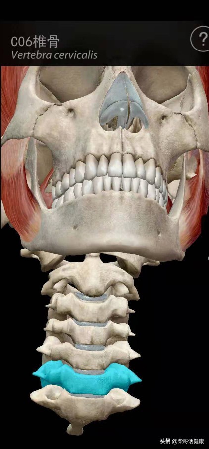 用3D来脊柱体表定位简单多了