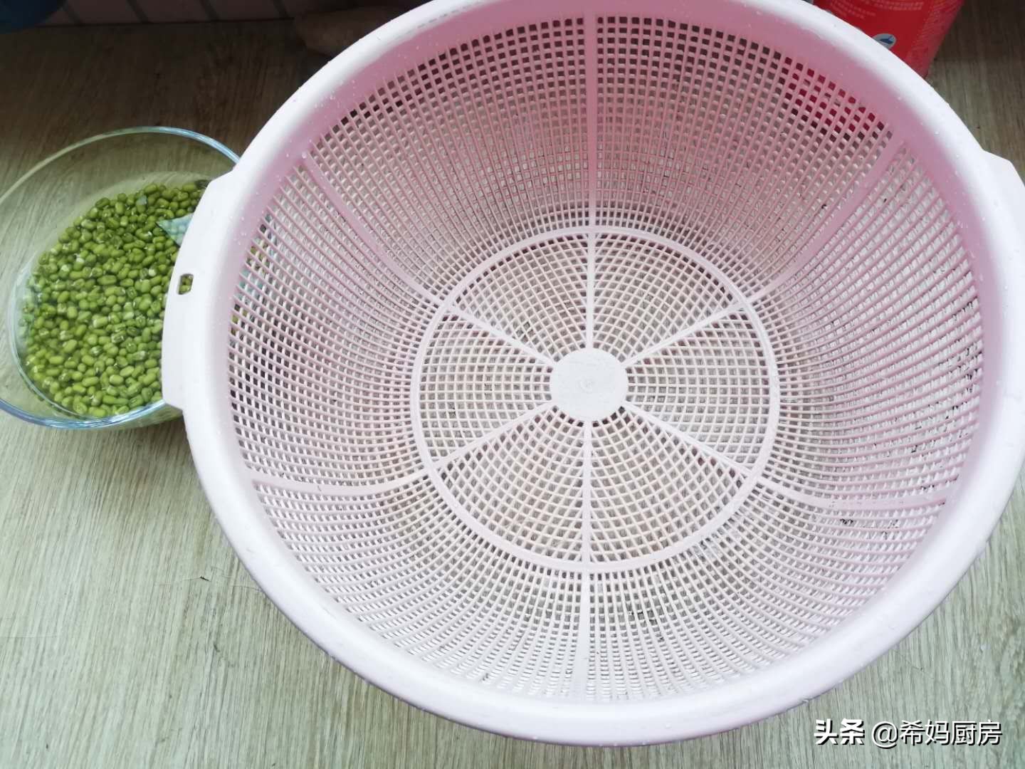 用绿豆泡豆芽七天过程,泡发绿豆怎么做好吃又简单