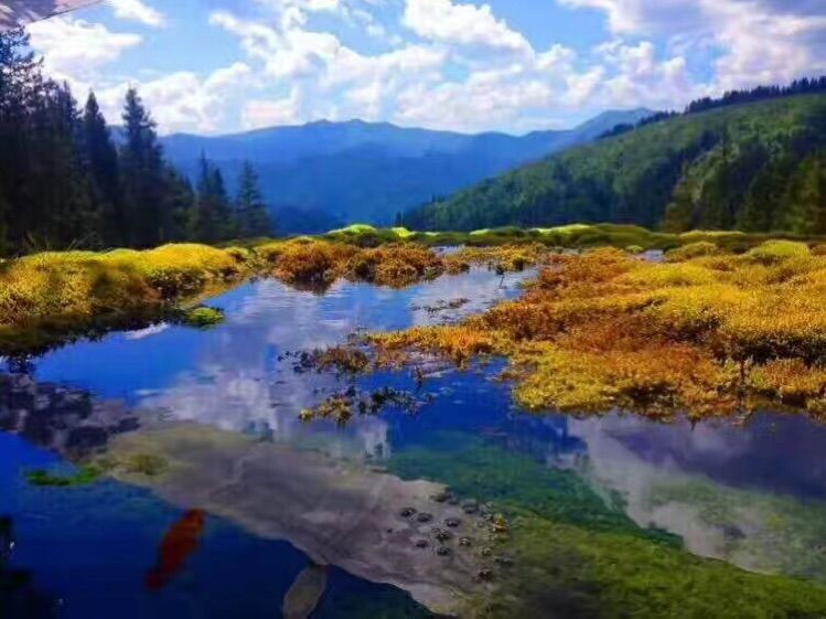 中国小幅油画作品大展作品集,三峡丹青油画作品