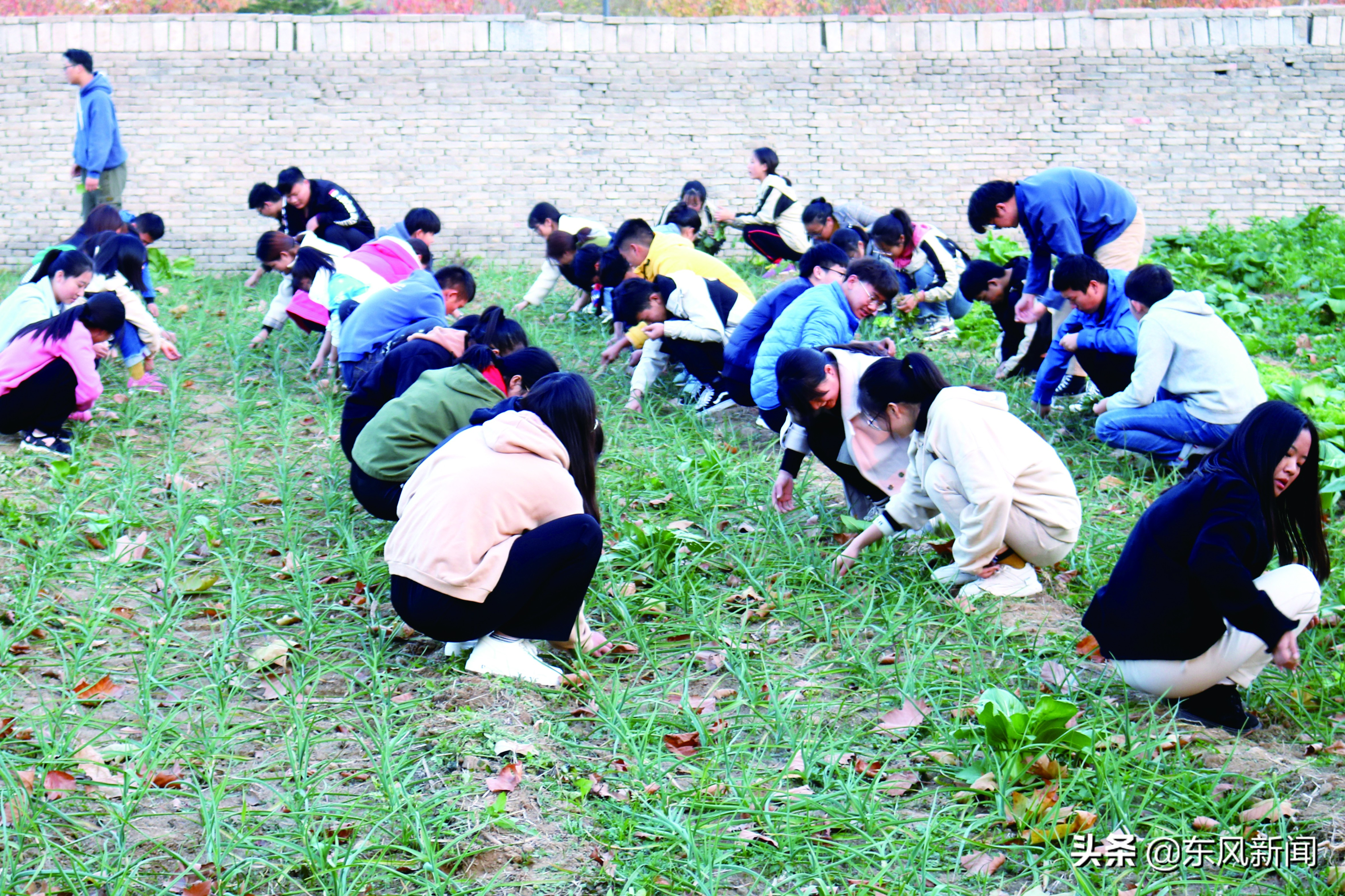 劳动教育大学生,高校如何进行劳动教育