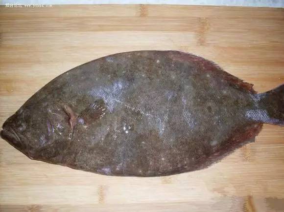 海鲜大全,最全海鲜冷知识